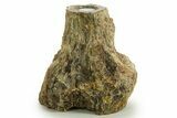 Fascinating, Petrified Wood Candle Holder - Madagascar #378667-1